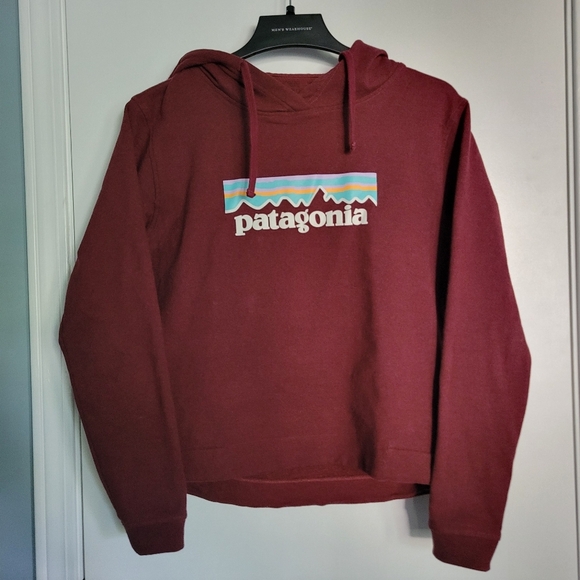 PATAGONIA Pastel P-6 Uprisal Hoodie Sweatshirt Size Small Womens Plum 39557 - Picture 2 of 9